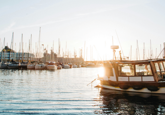 Quelle: Killian Cartignies /unsplash.com